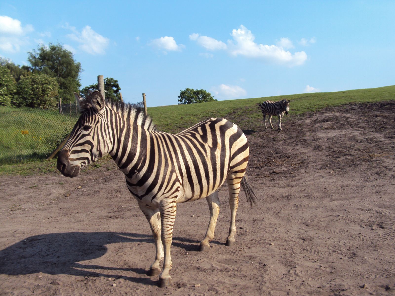 West Midland Safari Park